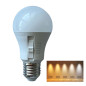 Preview: Bioledex LED Lampe E27 CCT 2700K/3000K/4000K/5000K/6500K 10W 1100Lm wie 75W