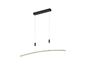 Preview: Hell Dual LED Pendelleuchte 4-fach Dimmbar CCT Schwarz 20516/1-06