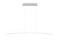 Preview: Hell Sira LED Pendelleuchte Dimmbar stufenlos höhenverstellbar Aluminium 20631/1-36