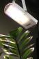 Mobile Preview: Bioledex GoLeaf A1T 3-Phasen Schienenleuchte LED Pflanzenleuchte 28W S2 - Hohes Stammwachstum, Vollspektrum Grow-Light
