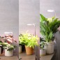 Preview: Bioledex GoLeaf TOP10 LED Pflanzenleuchte Vollspektrum 10W USB Pflanzenbeleuchtung
