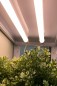 Preview: Bioledex GoLeaf LED Pflanzenleuchte TIP65 Komplettset für Regale mit 3 Ebenen