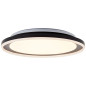 Preview: Brilliant Pederson LED Wand- und Deckenleuchte 45cm 22W Warmweiß Schwarz G99519/06