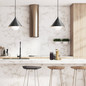 Preview: Elstead Remyck Pendelleuchte E27 Mattes Schwarz Mattschwarz