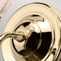 Preview: Elstead Carroll LED Wandleuchte G9 Poliertes Messing IP44