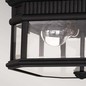 Preview: Elstead Cotswold Lane Außen-Deckenleuchte E27 2-fach Schwarz IP44