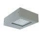 Preview: Elstead Beta LED Außenwandleuchte 30-fach Mattes Silber IP65