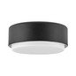 Preview: Elstead Cedric Deckenleuchte E27 2-fach Schwarz Opal