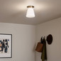 Preview: Elstead Albers Deckenleuchte E27  Champagnerbronze Opalglas