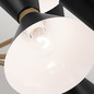 Preview: Elstead Phix Kronleuchter E27 12-fach Schwarz und Champagnerbronze Schwarz