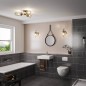Preview: Elstead Urban Restoration Deckenleuchte E27 3-fach Dunkles Antikmessing Klar IP44