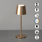 Preview: FHL Roxi LED Tischleuchte 1,5W dimmbar Akku CCT einstellbare Lichtfarbe coffeefarben 850499