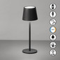 Preview: FHL Roxi LED Tischleuchte 1,5W dimmbar Akku CCT einstellbare Lichtfarbe sandschwarz 850503