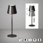 Preview: FHL Viletto LED Tischleuchte 2W dimmbar Akku warmweiss Dunkelsilber 850591