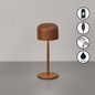 Preview: FHL Finley LED Tischleuchte 1W dimmbar Akku warmweiss rostfarben 850594