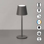 Preview: FHL Roxi LED Tischleuchte 1,5W dimmbar Akku CCT einstellbare Lichtfarbe sandgrau 850649