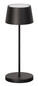 Preview: FHL Asena Pro LED Tischleuchte 2W dimmbar CCT einstellbare Lichtfarbe sandschwarz 850671