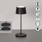 Preview: FHL Asena Pro LED Tischleuchte 2W dimmbar CCT einstellbare Lichtfarbe sandschwarz 850671