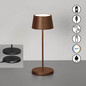 Preview: FHL Asena Pro LED Tischleuchte 2W dimmbar CCT einstellbare Lichtfarbe rostfarben 850675