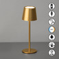 Preview: FHL Roxi LED Tischleuchte 1,5W dimmbar Akku CCT einstellbare Lichtfarbe goldfarben 850846