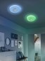Preview: Fischer & Honsel T-Esra LED Deckenleuchte 19W Tunable white steuerbar dimmbar silber + Fernbedienung 20756