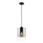 Preview: Fischer & Honsel Samu Pendelleuchte E27 Glas rauchfarben sandschwarz 60895