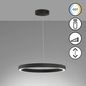 Preview: Fischer & Honsel Sirko LED Pendelleuchte 55,3W Tunable white steuerbar dimmbar Acrylglas sandschwarz 61049