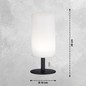 Preview: FHL Larino LED Akku-Außenleuchte USB 1,5W RGB-Farbsteuerung dimmbar 28cm IP44 850246
