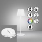 Preview: FHL Cosenza 2.0 LED Akku-Outdoorleuchte USB 2,2W RGBW steuerbar dimmbar sandweiß IP44 850337
