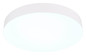 Preview: Globo Matthew LED Deckenleuchte 24W CCT Weiß Matt Ø30cm 12384-24W