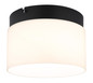 Preview: Globo Trenton LED Deckenleuchte 10W CCT Schwarz Matt, Metall Memoryfunktion Ø20cm 16052D
