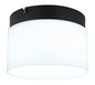 Preview: Globo Trenton LED Deckenleuchte 10W CCT Schwarz Matt, Metall Memoryfunktion Ø20cm 16052D