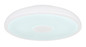 Preview: Globo Raffy LED Deckenleuchte 18W CCT IP44 Weiß Fernbedienung Nachtlicht Memoryfunktion Ø28cm 41366W