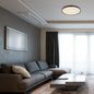 Preview: Globo Sonny LED Deckenleuchte 24W CCT Weiß, Metall Fernbedienung Nachtlicht Ø49cm 41587-24