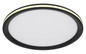 Preview: Globo Belissa LED Deckenleuchte 30W Warmweiß Schwarz Matt, Metall Memoryfunktion Ø30cm 41588D