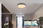 Preview: Globo Doro LED Deckenleuchte 24W Warmweiß Silberfarben, Aluminium Ø45cm 416080AD2R