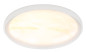 Preview: Globo Tyrone LED Deckenleuchte 24W CCT Weiß, Metall Memoryfunktion Ø38,5cm 41779-24