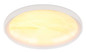 Preview: Globo Tyrone LED Deckenleuchte 24W CCT Weiß, Metall Memoryfunktion Ø38,5cm 41779-24