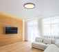 Preview: Globo Dublin LED Deckenleuchte 48W CCT Grau, Aluminium Gebürstet Fernbedienung Nachtlicht Memoryfunktion Ø50cm 48802-48