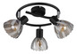Preview: Globo Zachery E14 Strahler 3-fach 40W Schwarz Matt, Metall Ø10cm 54315S-3
