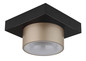 Preview: Globo Raymond LED Deckenleuchte 12W Warmweiß Schwarz Matt, Metall Ø15cm 56964-1