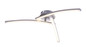 Preview: Globo Tansy LED Deckenleuchte 18W CCT Nickel Matt, Metall 12,5cm 67098-18
