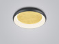 Preview: Helestra TYRA LED Deckenleuchte 32W dimmbar Warmweiss Schwarz 8-5071.09