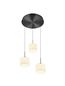 Preview: Hell Abby LED Pendelleuchte Warmweiss Dimmbar höhenverstellbar +FB Anthrazit 20662/3-39