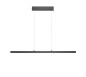 Preview: Hell Karo LED Pendelleuchte 2-fach steuerbare Lichtfarbe Dimmbar CCT 60-180cm >90Ra Anthrazit 20687/1-39