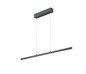 Preview: Hell Karo LED Pendelleuchte 2-fach steuerbare Lichtfarbe Dimmbar CCT 60-180cm >90Ra Anthrazit 20687/1-39