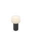 Preview: Hell Tiny LED Akkuleuchte Dimmbar USB Schwarz 50447/1-06