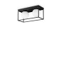 Preview: Ideal Lux LINGOTTO Deckenleuchte E14 2-fach dimmbar Schwarz 304137