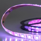 Preview: ISOLED LED SIL-RGB Flexband Streifen, 24V, 14,4W, IP66, 60 LED/m