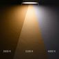 Preview: ISOLED LED Downlight, 8W, ultraflach, ColorSwitch 2600/3100/4000K, dimmbar